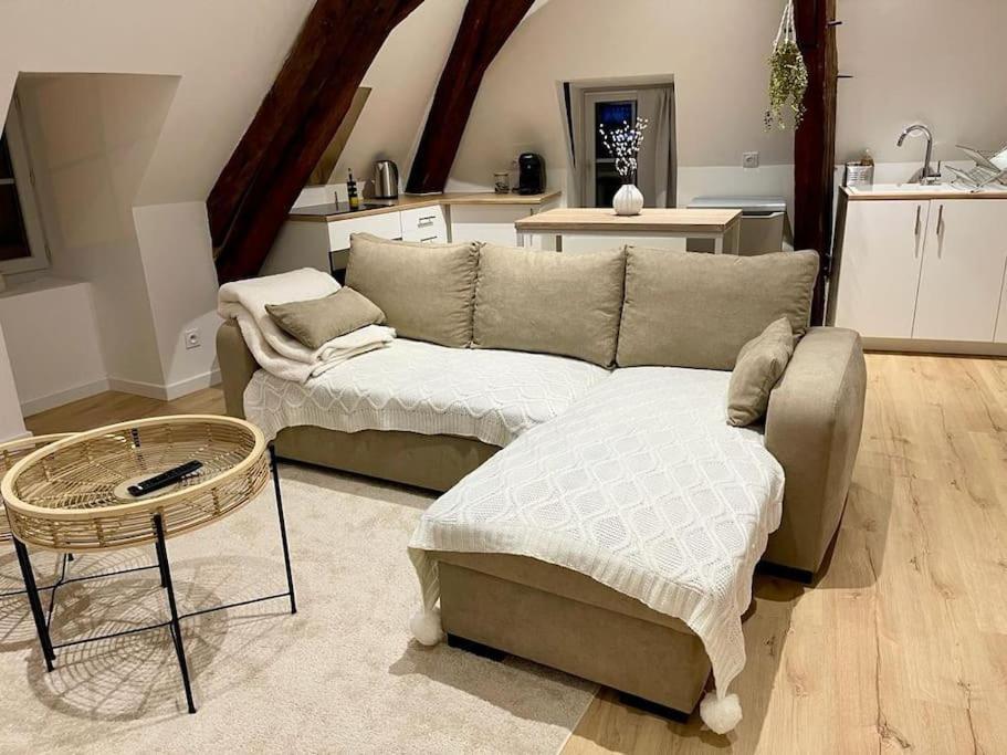 Appartement Cosy Centre Ville Saint-Amand-Mont-Rond Esterno foto